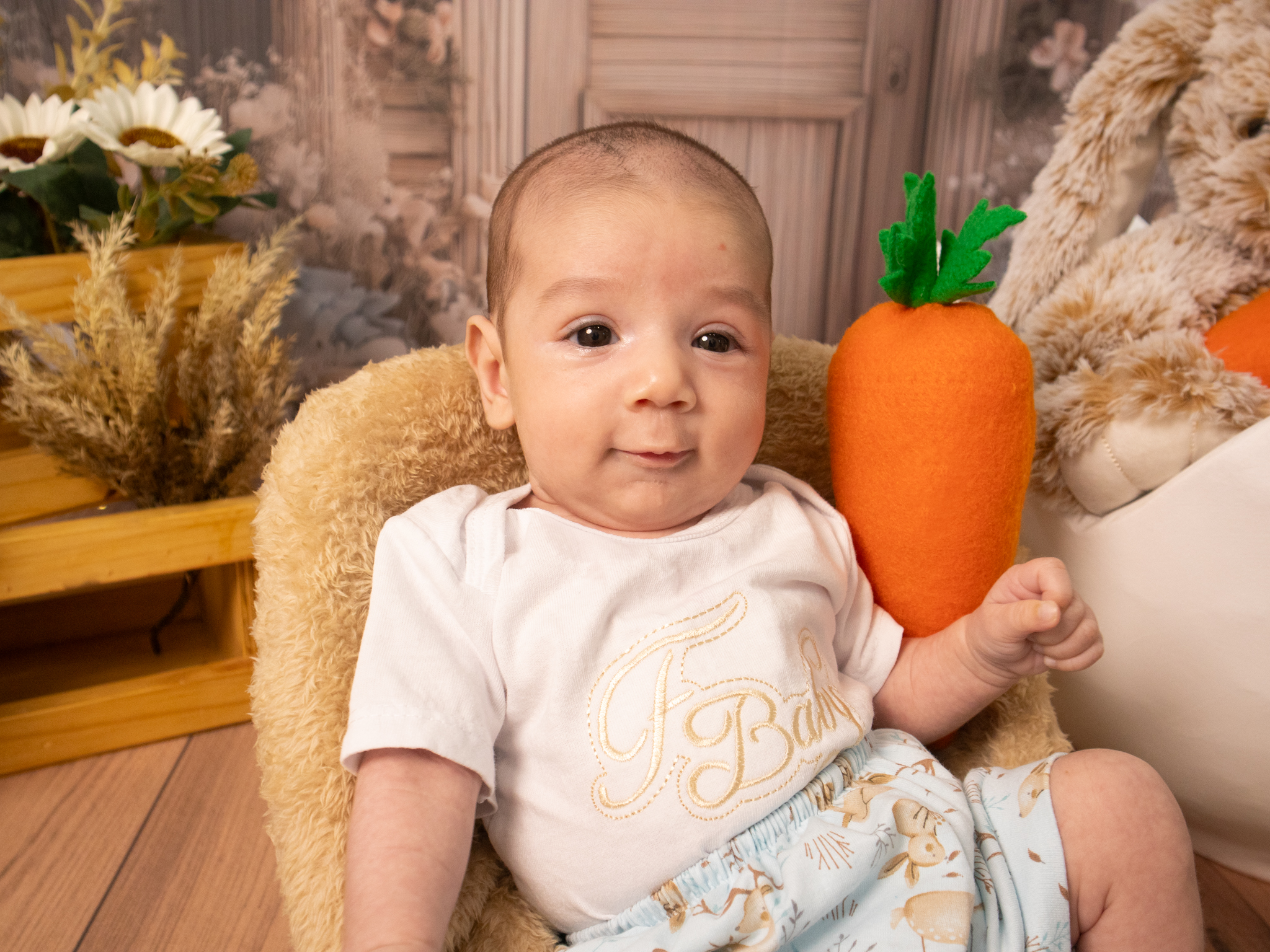 Seguimiento Baby · foto 3