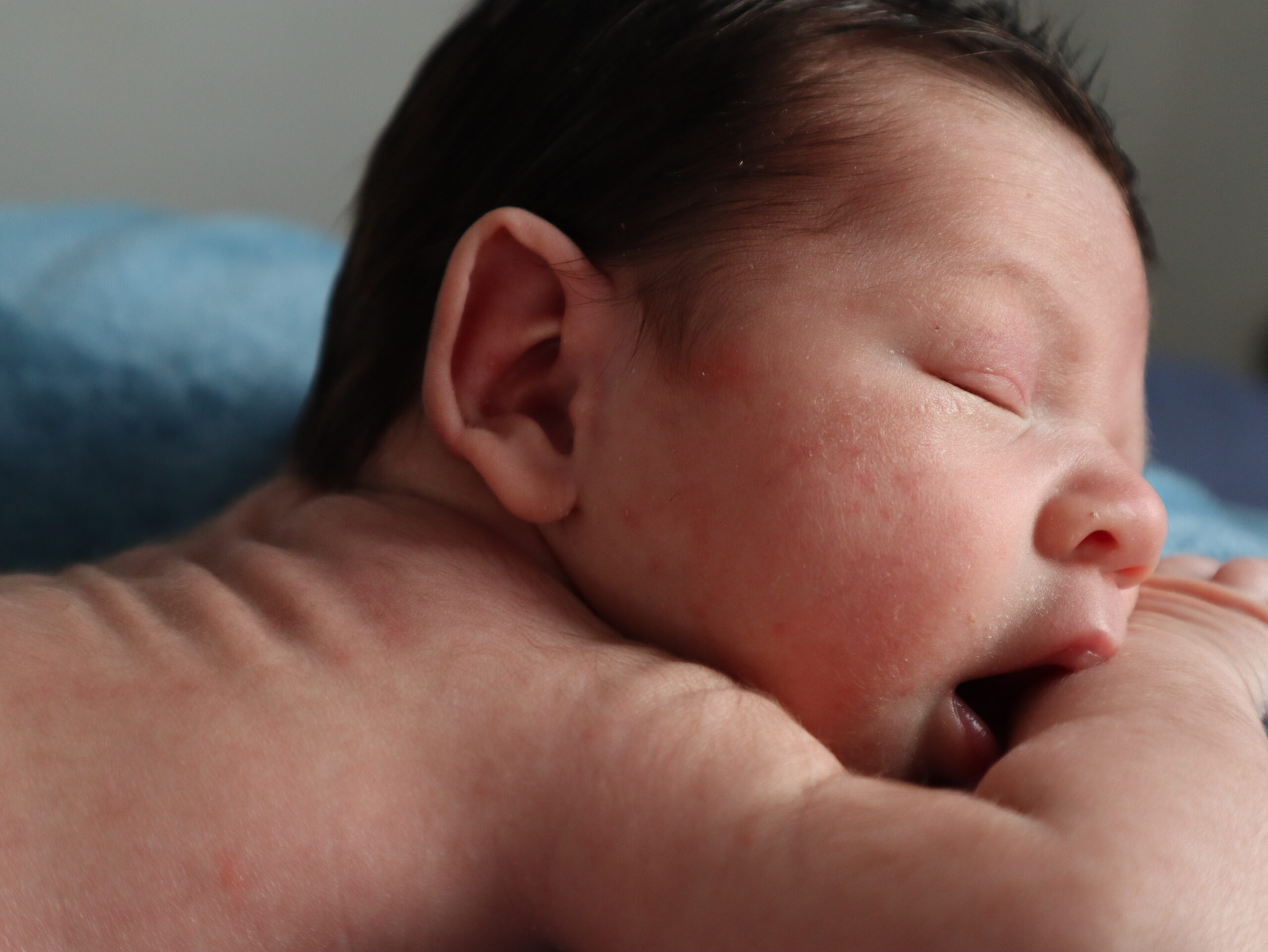 Newborn · foto 2