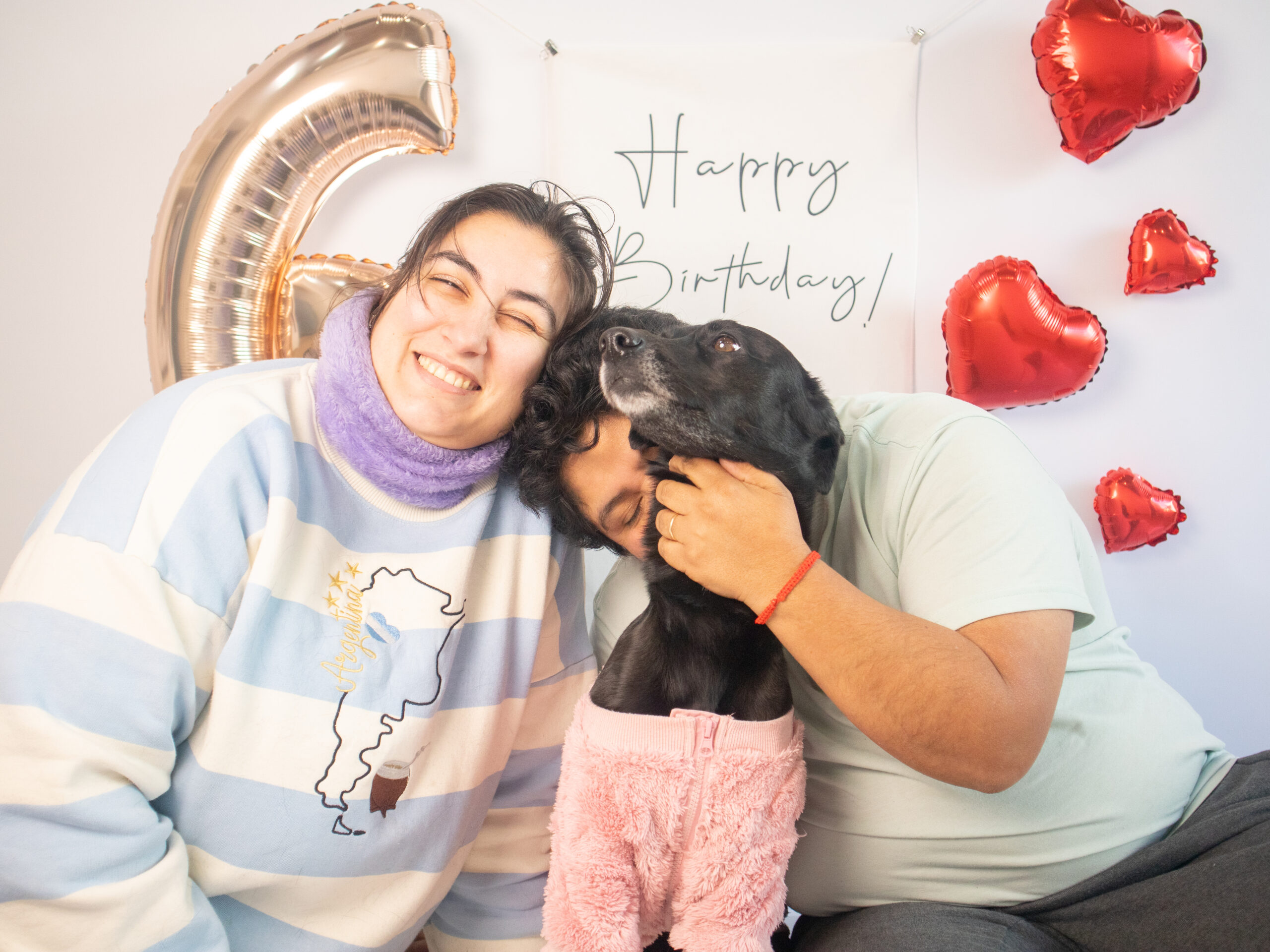 Mascotas · foto 12
