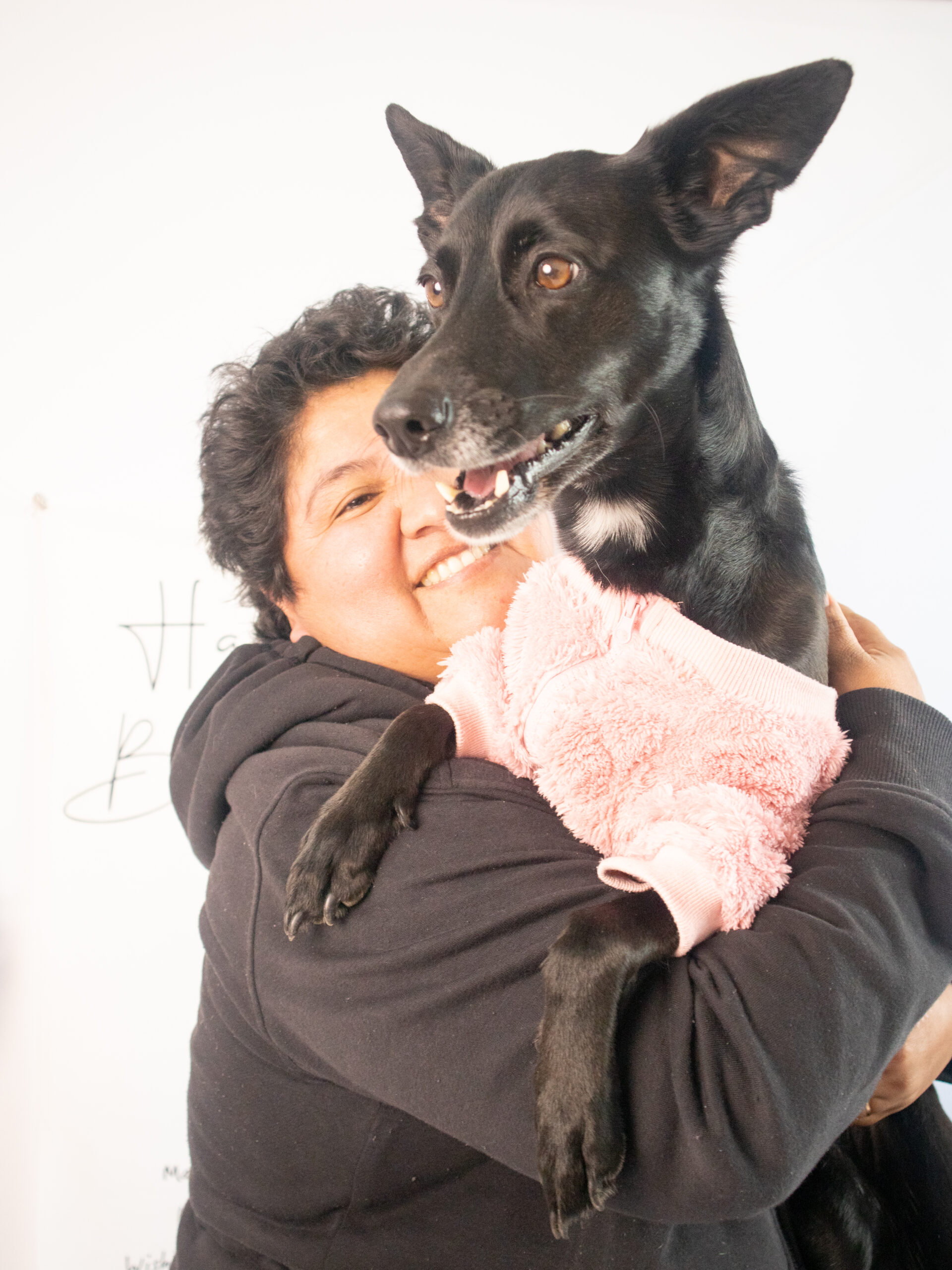 Mascotas · foto 11